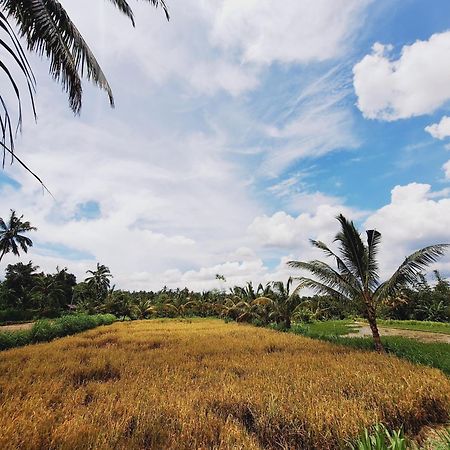 Bunga Homestay Lombok Tetebatu Luaran gambar