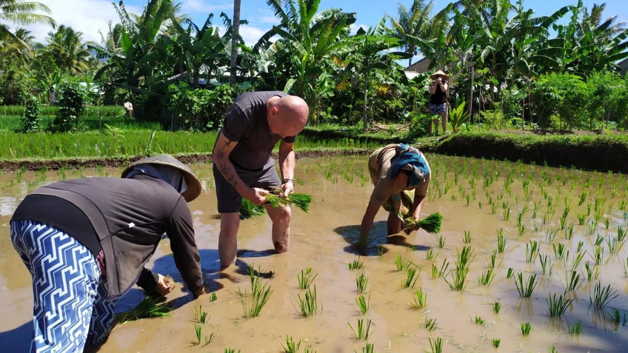 Bunga Homestay Lombok Tetebatu Luaran gambar