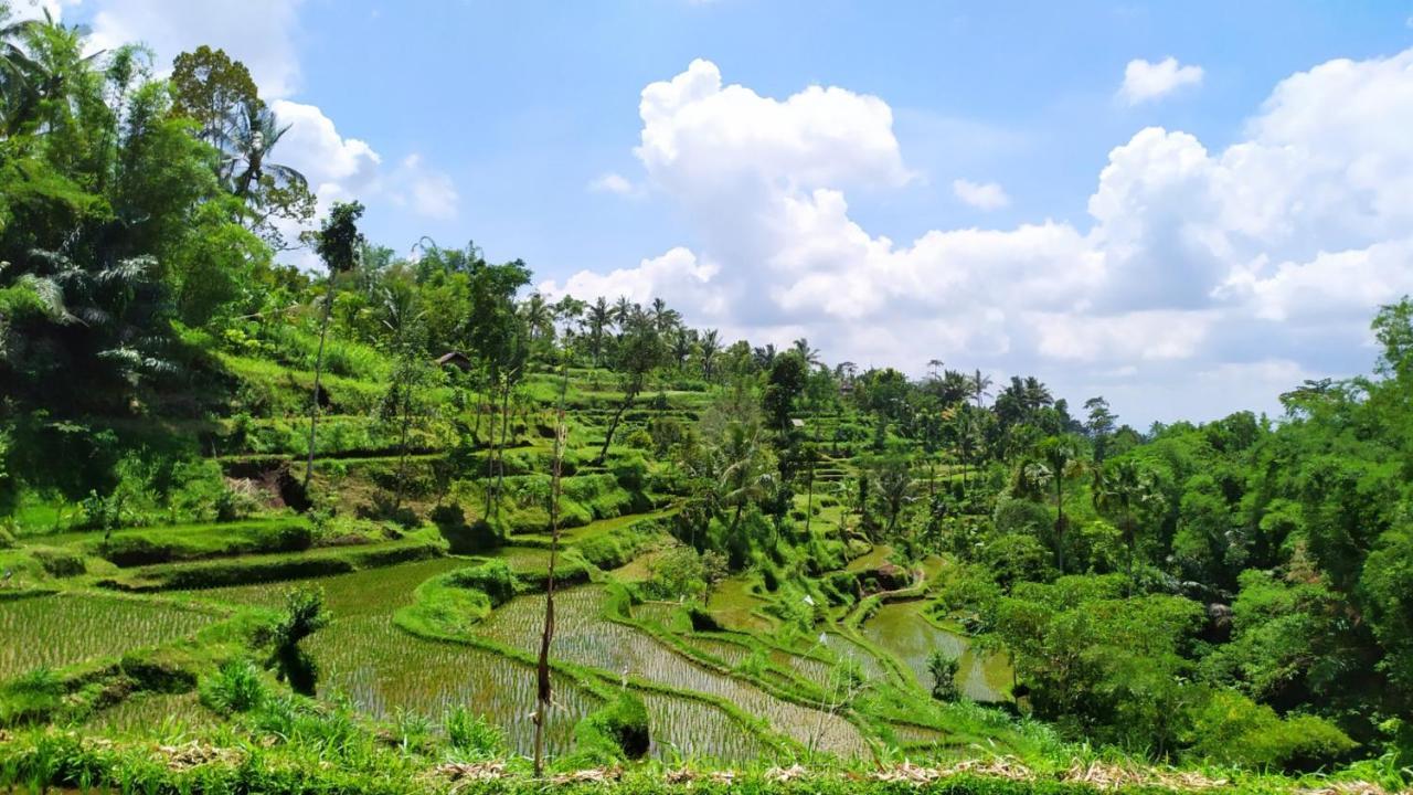 Bunga Homestay Lombok Tetebatu Luaran gambar