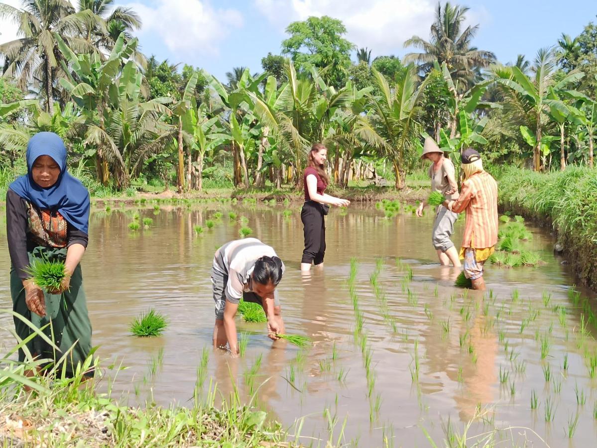 Bunga Homestay Lombok Tetebatu Luaran gambar