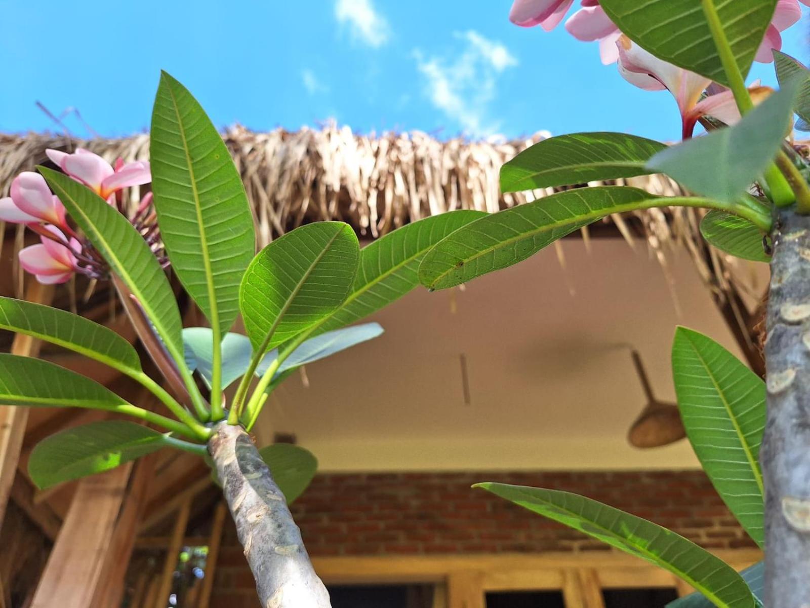 Bunga Homestay Lombok Tetebatu Luaran gambar