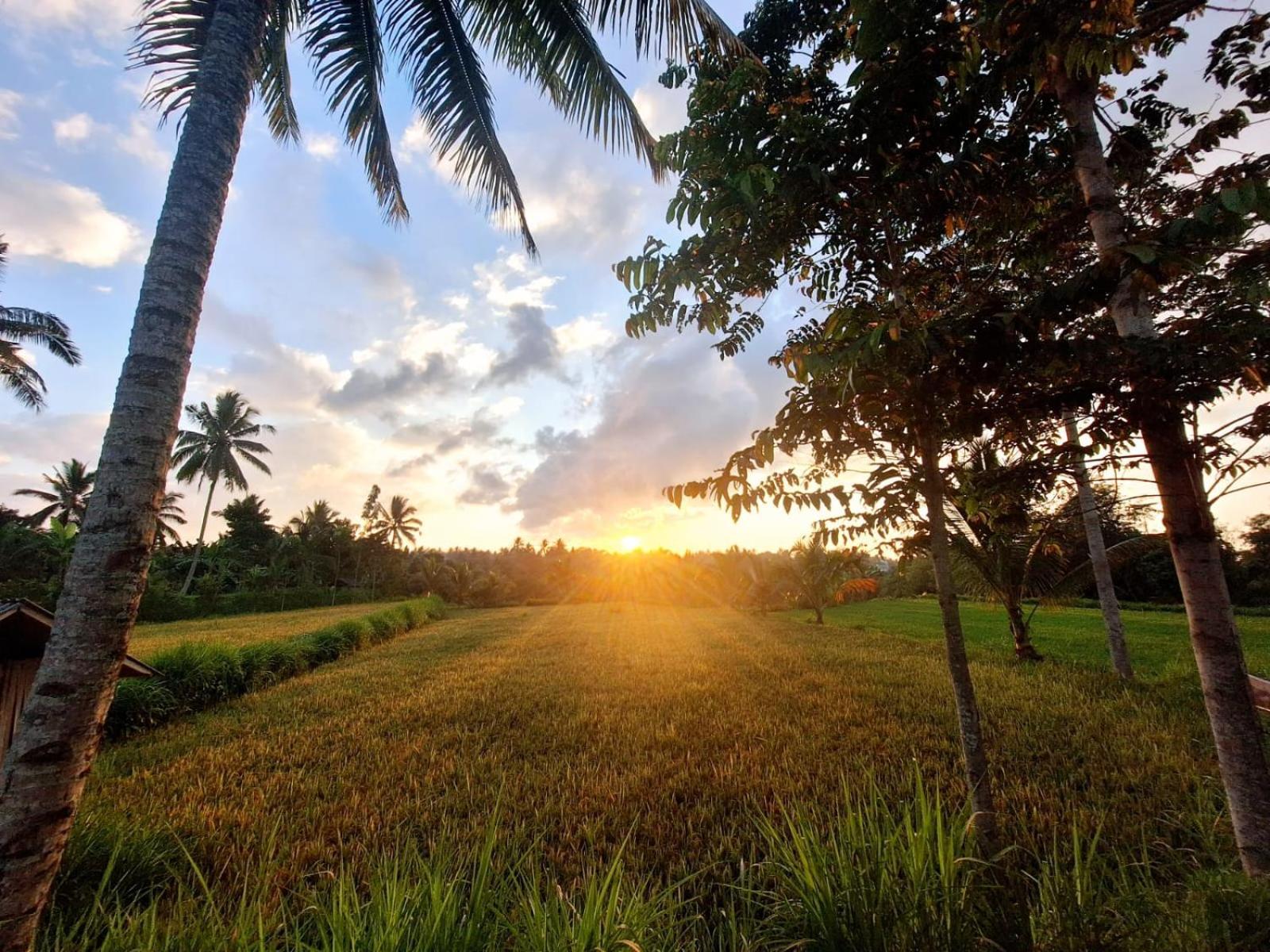 Bunga Homestay Lombok Tetebatu Luaran gambar