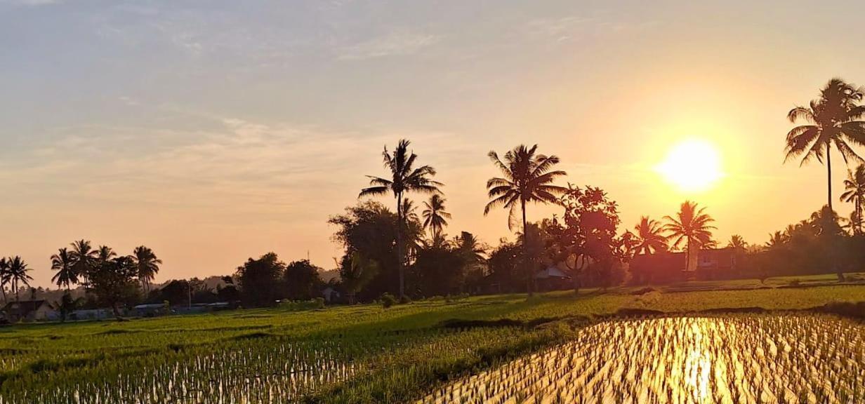 Bunga Homestay Lombok Tetebatu Luaran gambar