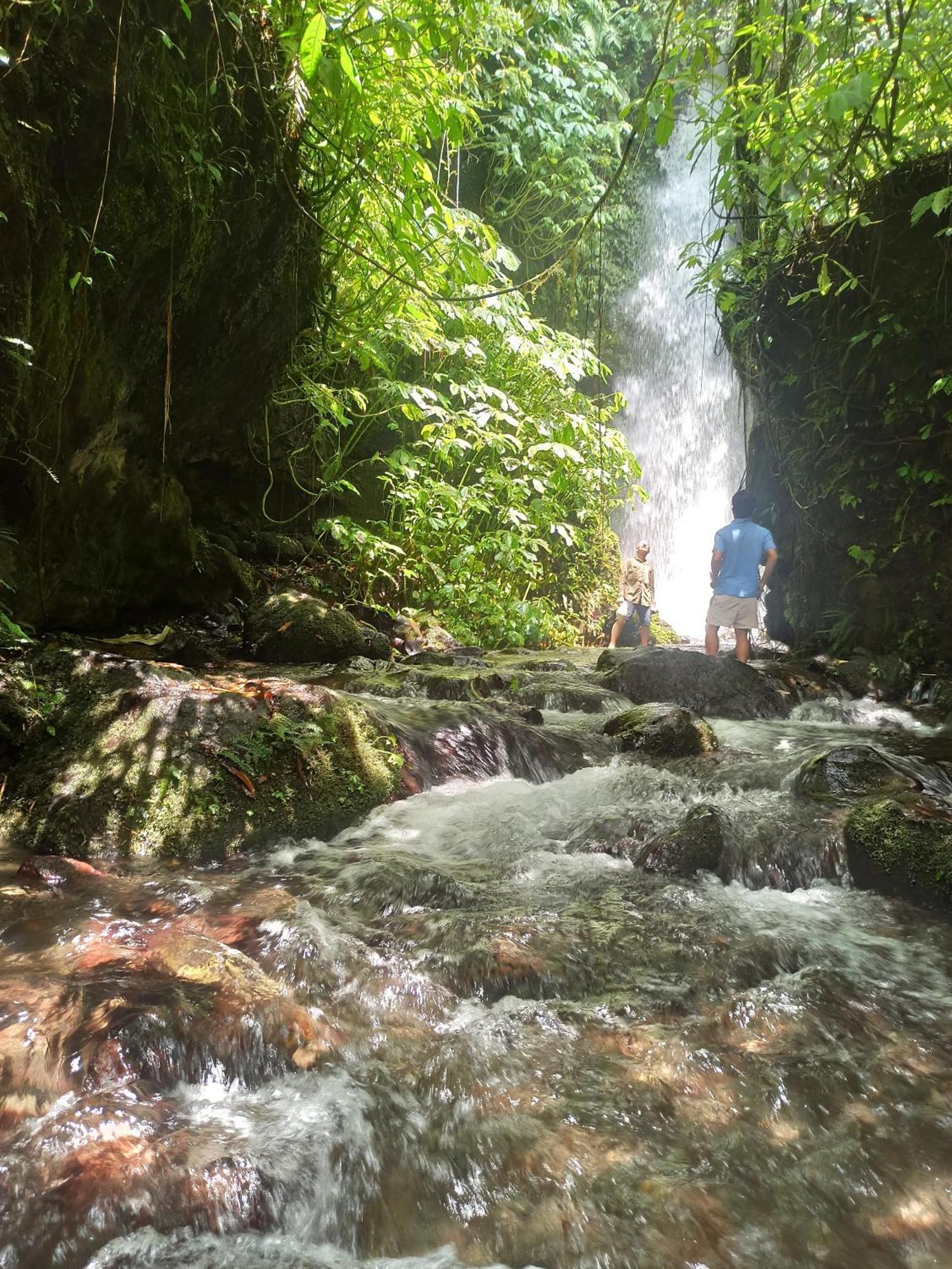 Bunga Homestay Lombok Tetebatu Luaran gambar