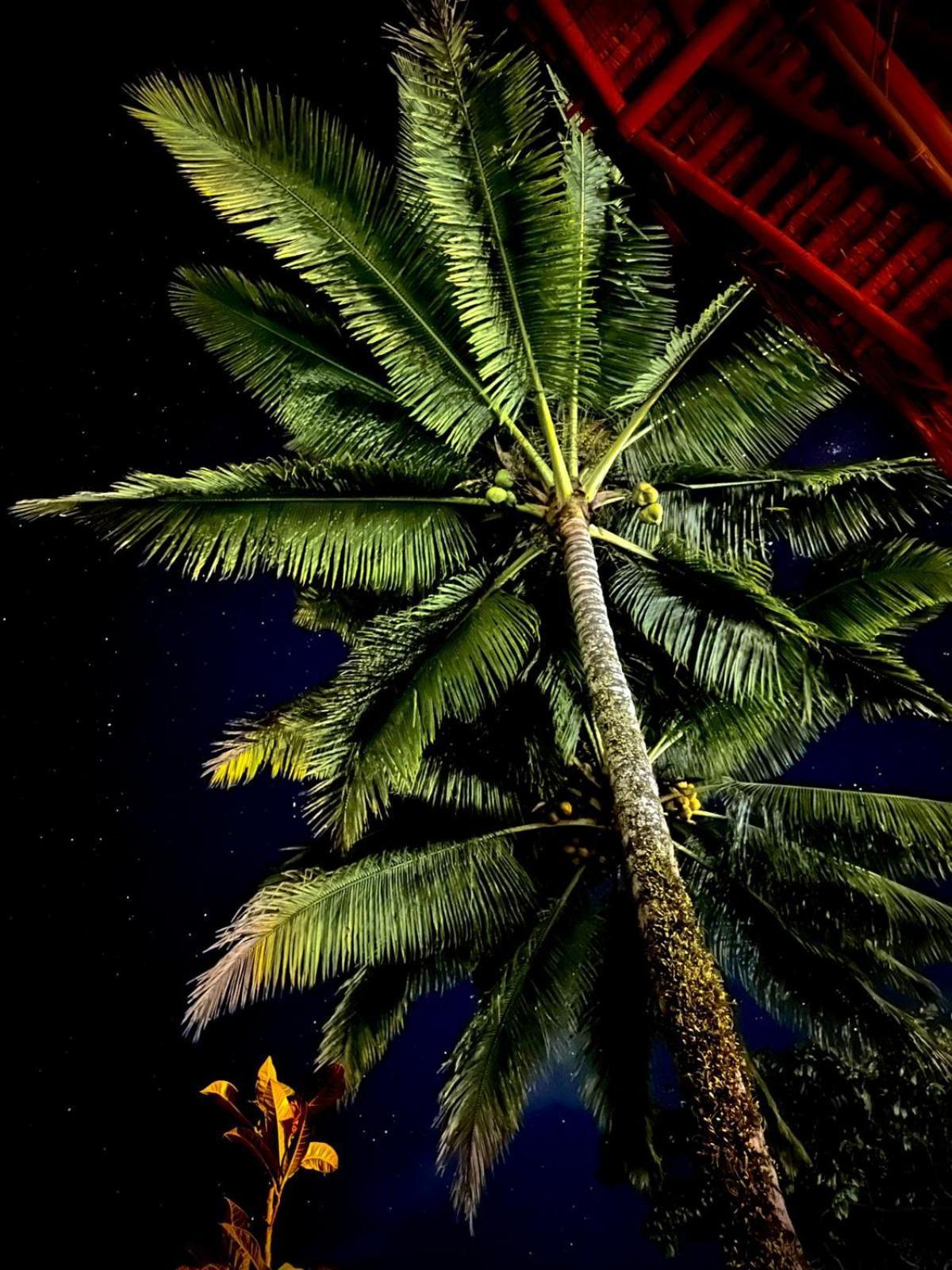 Bunga Homestay Lombok Tetebatu Luaran gambar