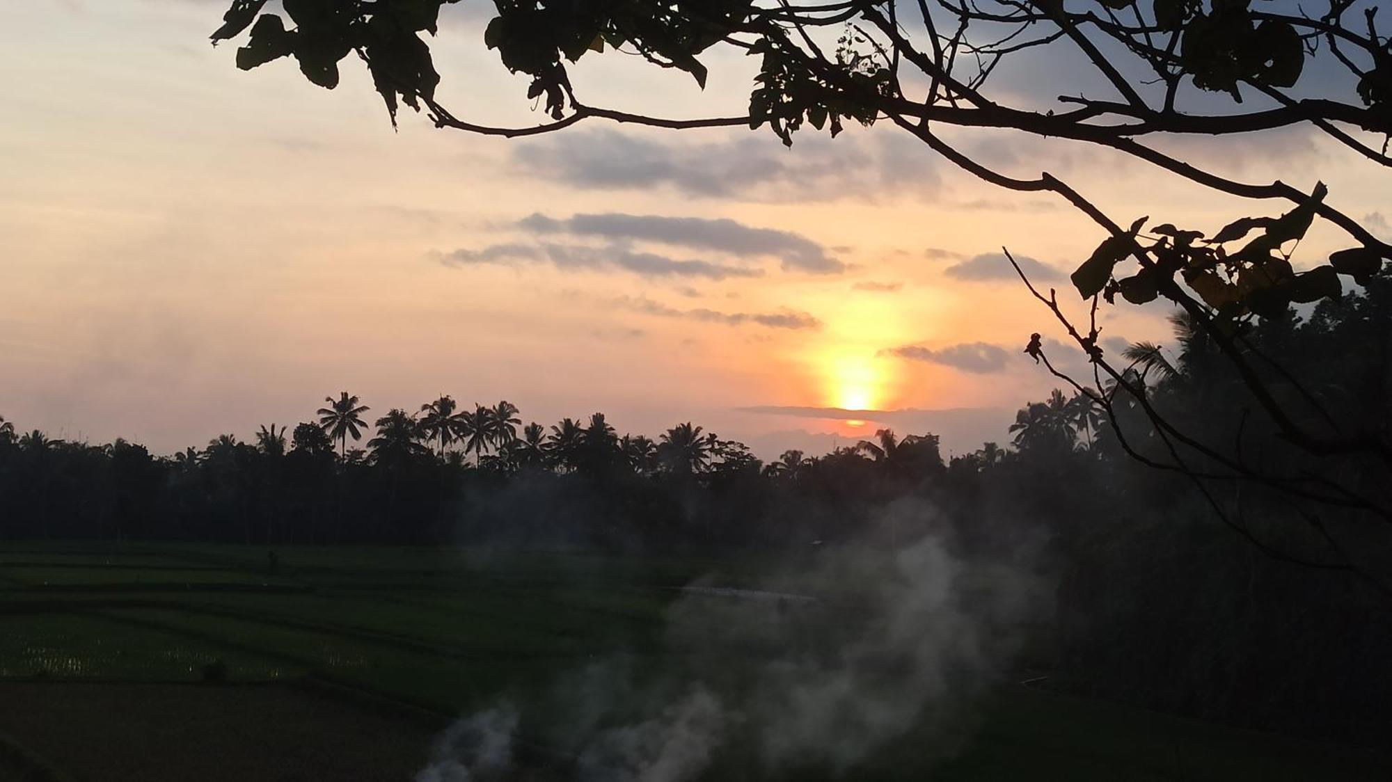 Bunga Homestay Lombok Tetebatu Luaran gambar