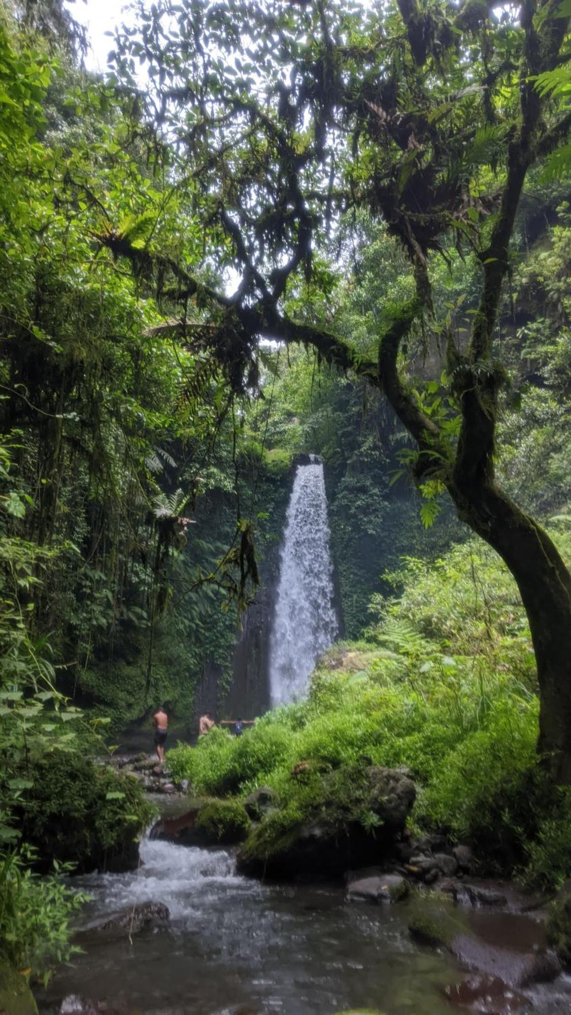 Bunga Homestay Lombok Tetebatu Luaran gambar