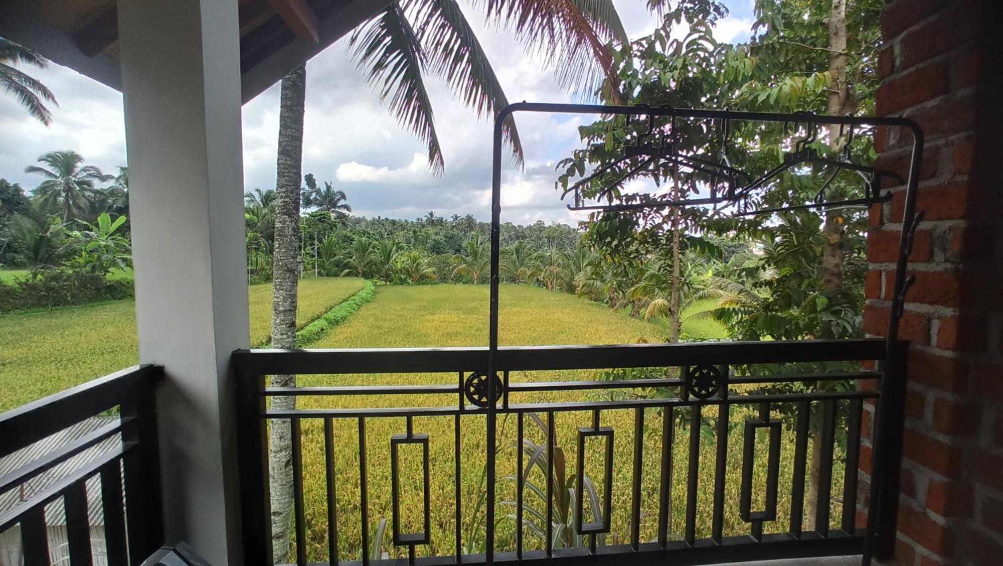 Bunga Homestay Lombok Tetebatu Bilik gambar