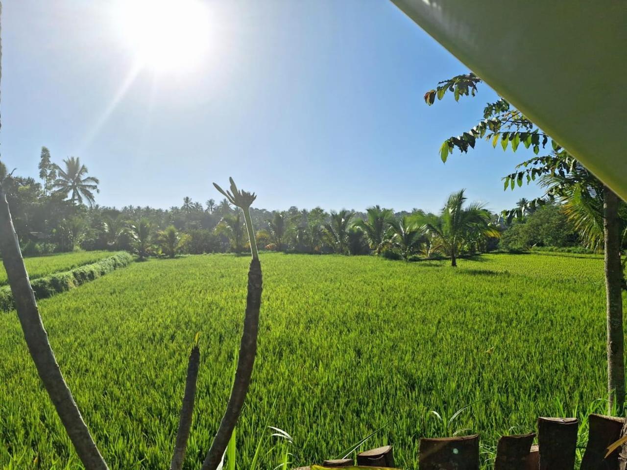 Bunga Homestay Lombok Tetebatu Bilik gambar