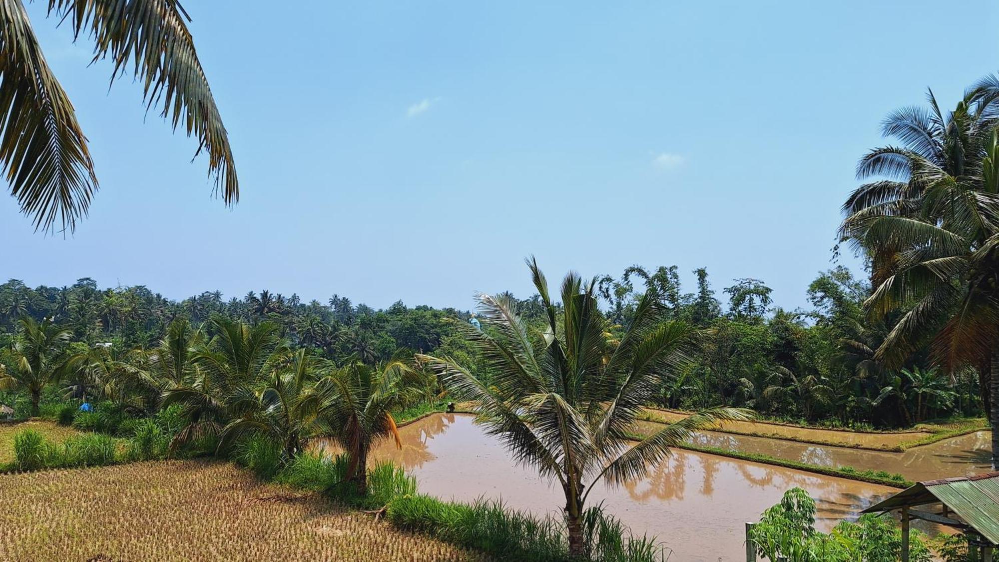 Bunga Homestay Lombok Tetebatu Luaran gambar