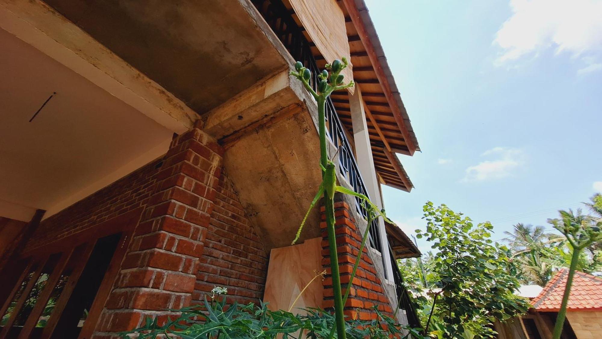 Bunga Homestay Lombok Tetebatu Bilik gambar