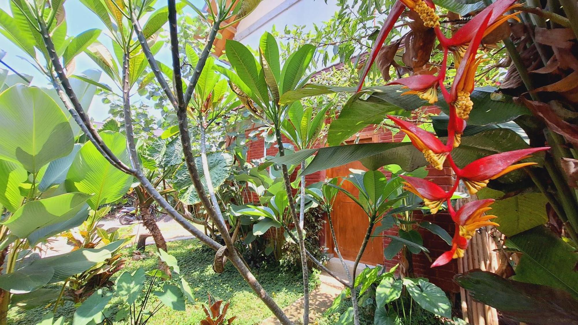 Bunga Homestay Lombok Tetebatu Bilik gambar