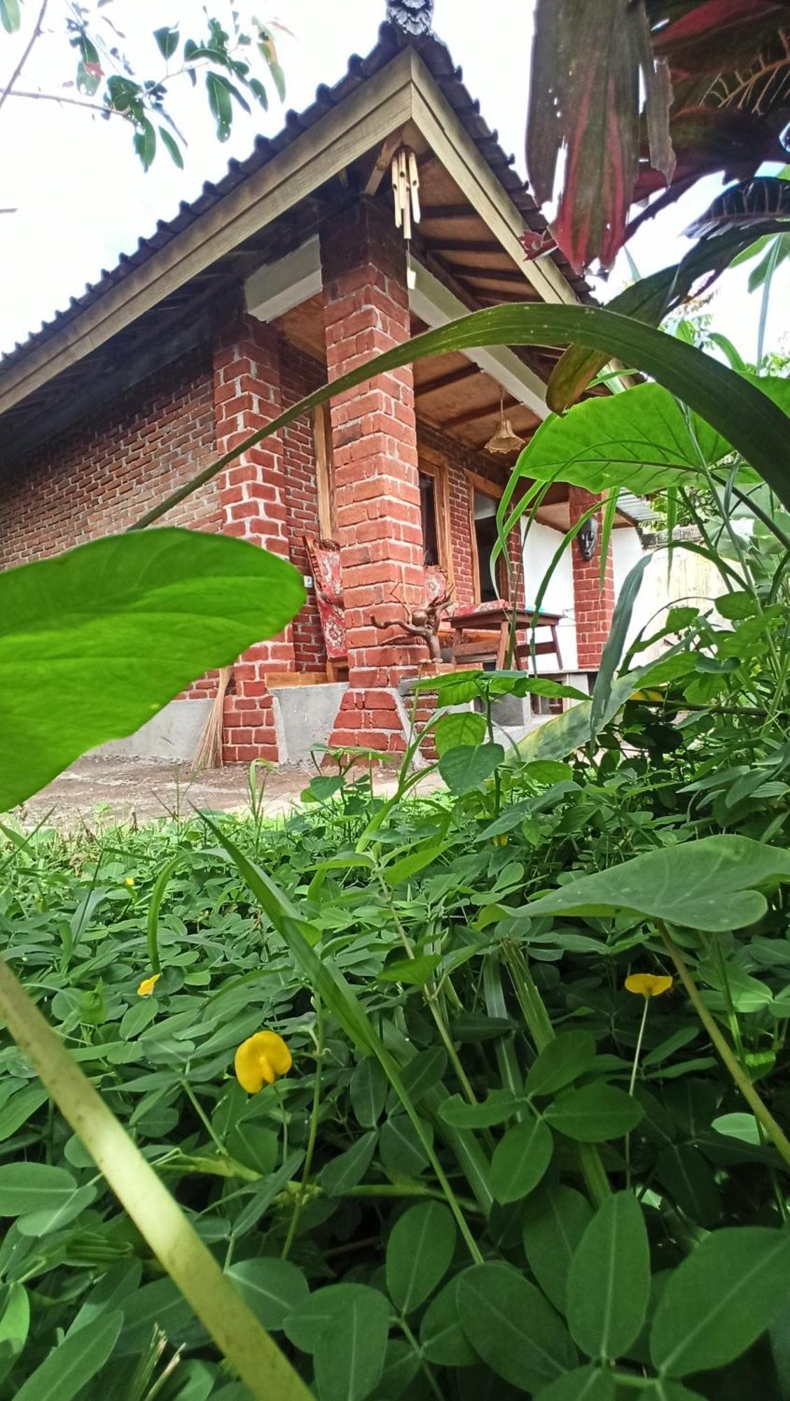 Bunga Homestay Lombok Tetebatu Luaran gambar